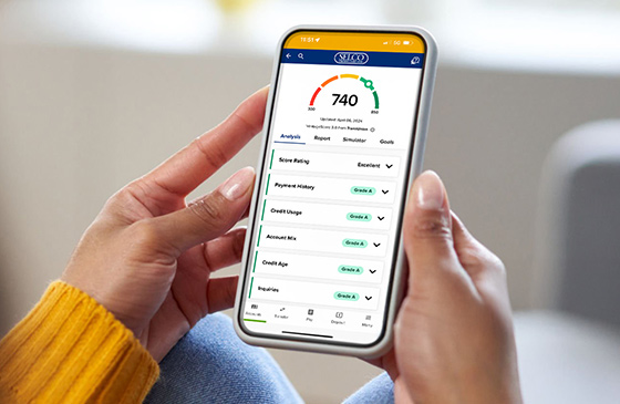 SELCO mobile app showing how to monitor your credit score.