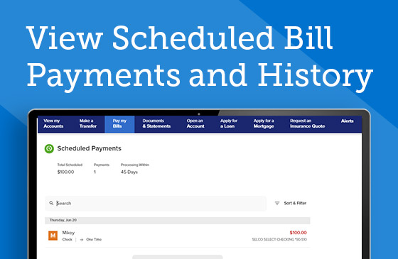 View Scheduled Bill Payments and History Graphic