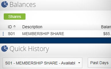 Viewing Your Balances & Transaction History SELCO Online Banking Step 2.